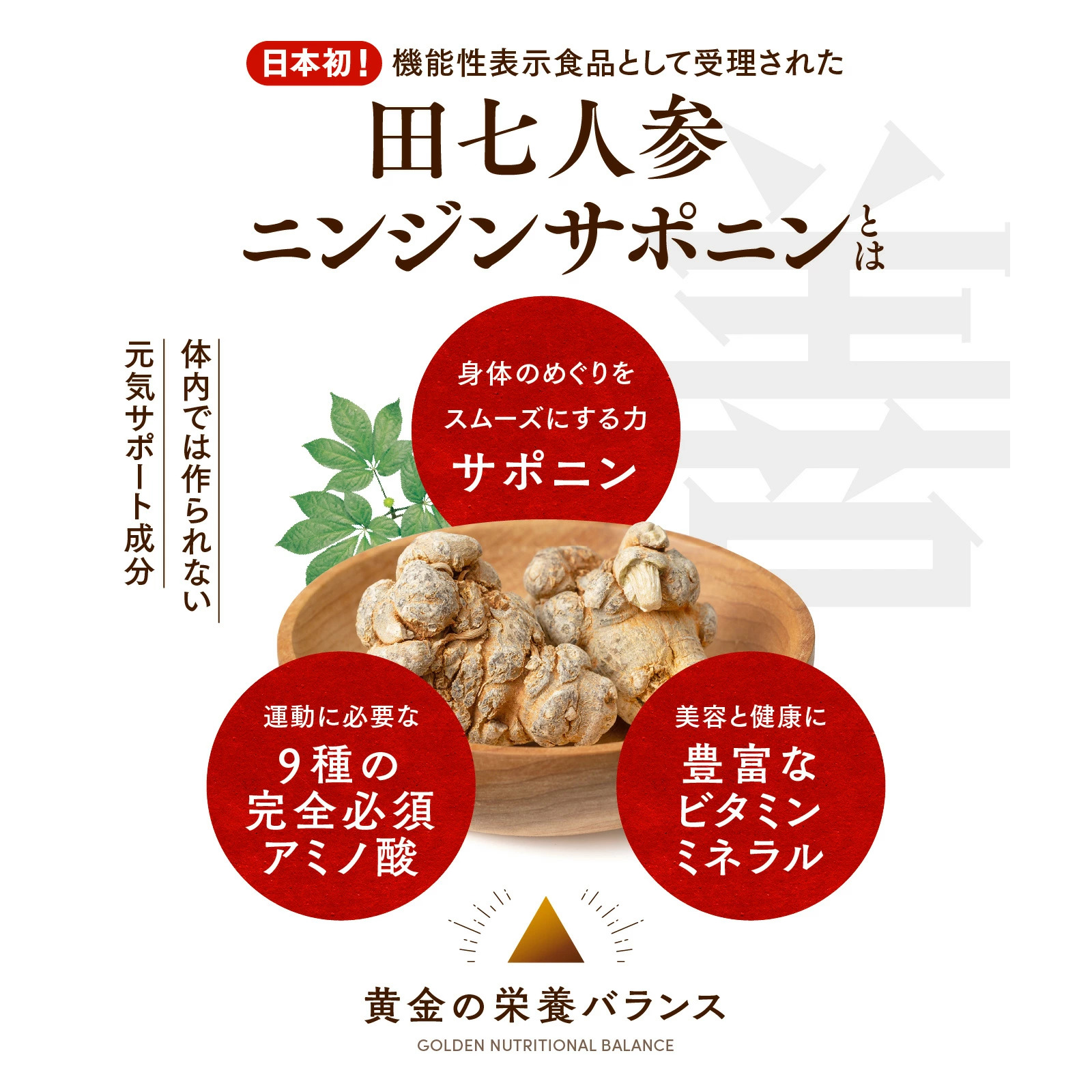白井田七。善