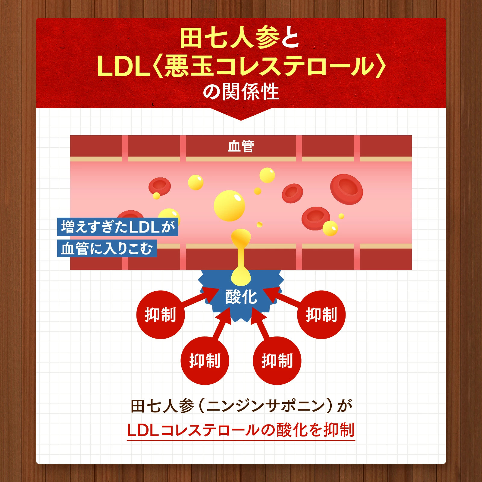 白井田七。善