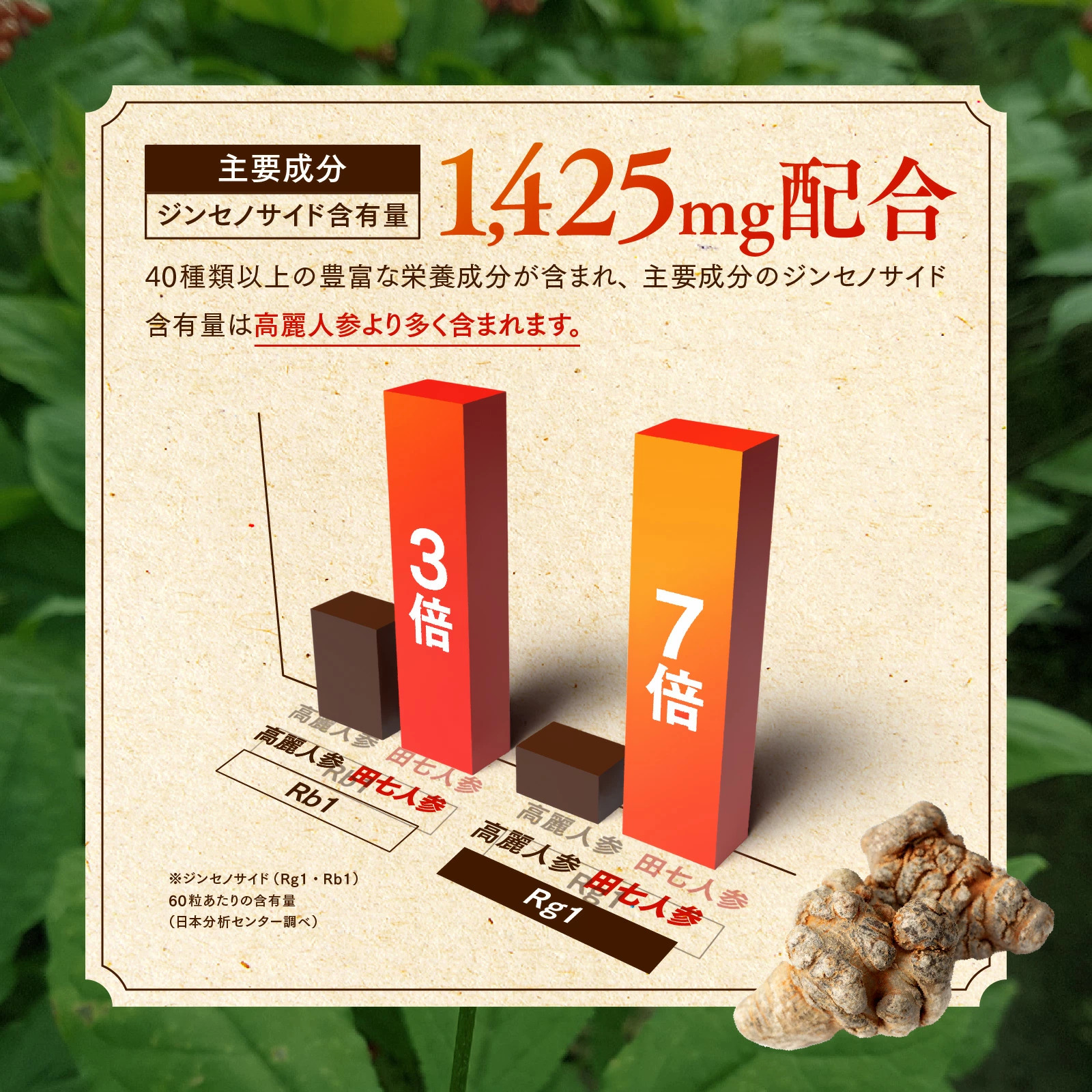白井田七。善